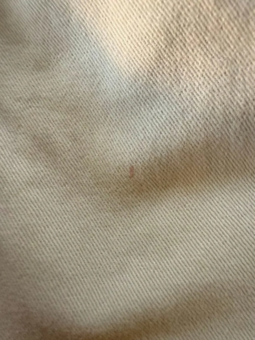 GAP Wide Leg Tan Shorts